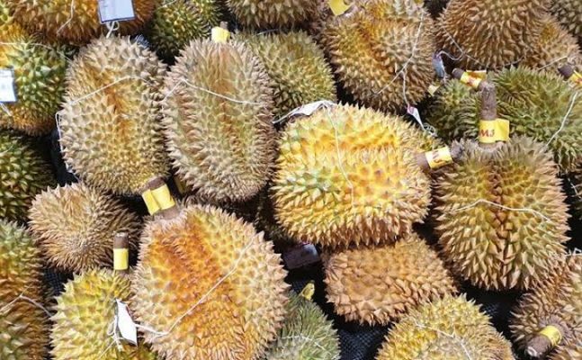 Durian