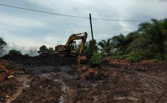 Gakkum KLHK Kalimantan Tindak Tambang Illegal Di Tahura Bukit Soeharto ...