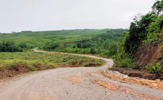 Edaran
