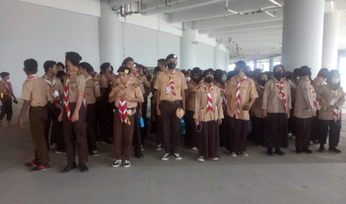 semut team