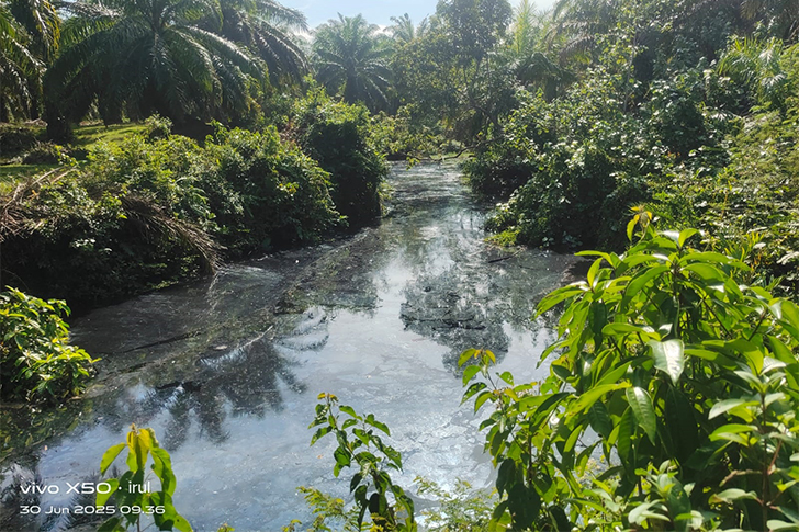 ipuh