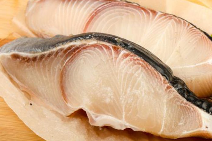 ikan hiu