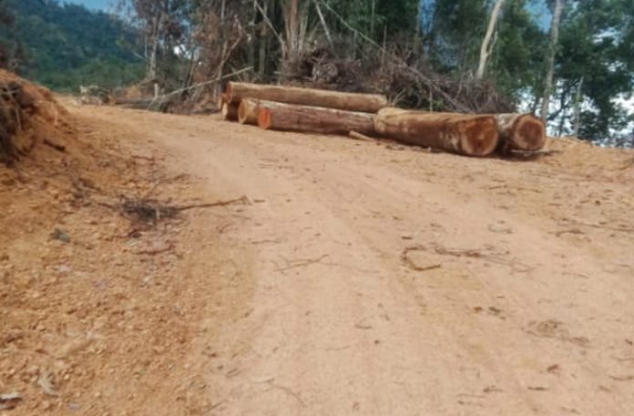 hutan