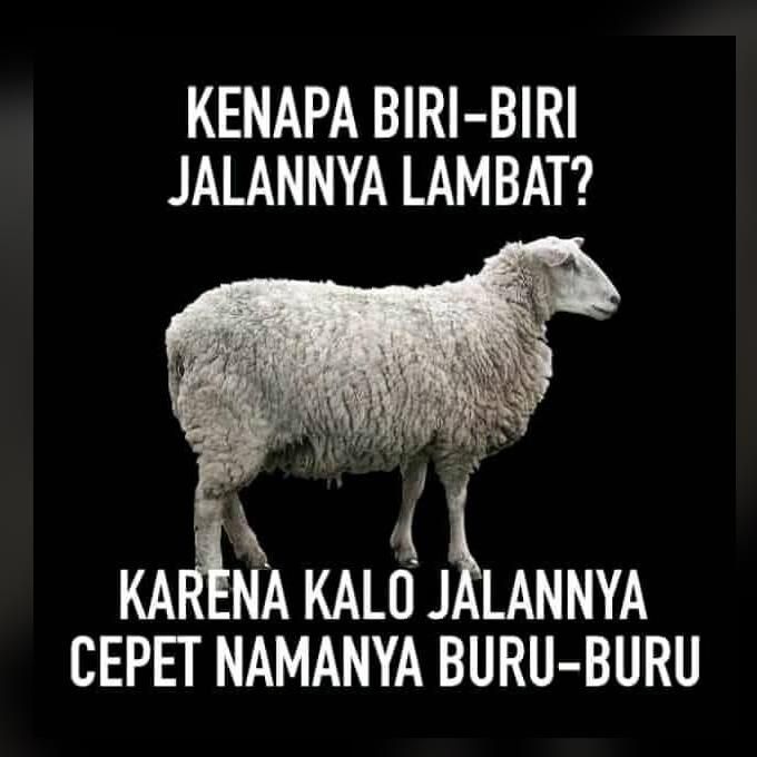 Solusi Mengatasi Power Window Yang Jalannya Lambat Panduan Lengkap Untuk Performa Optimal Kaca Jendela Mobil Anda